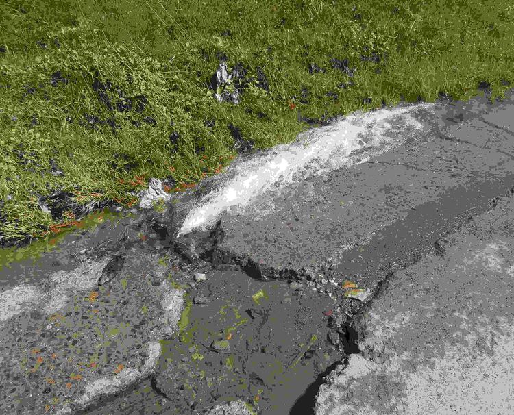 Water spraying out of a cracked tar road edge beside long grass, from a burst water main